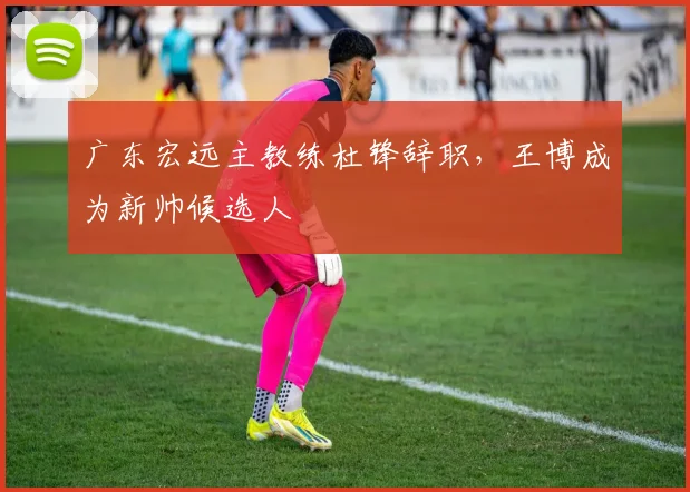 广东宏远主教练杜锋辞职,王博成为新帅候选人