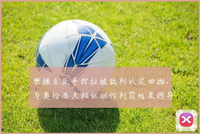 樊振东反手拧拉被裁判认定回抛,与奥恰洛夫相似动作判罚结果迥异